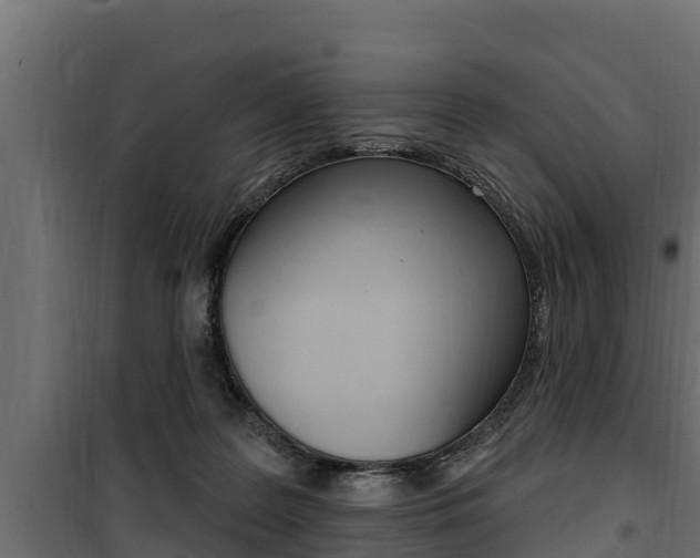 X0000100780219200806191024