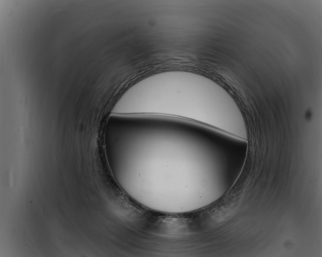 X0000100780221200806191024