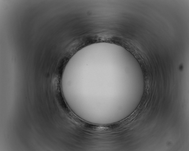 X0000100780222200806191024