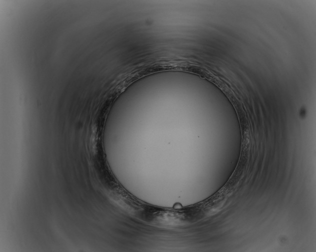 X0000100780223200806191024