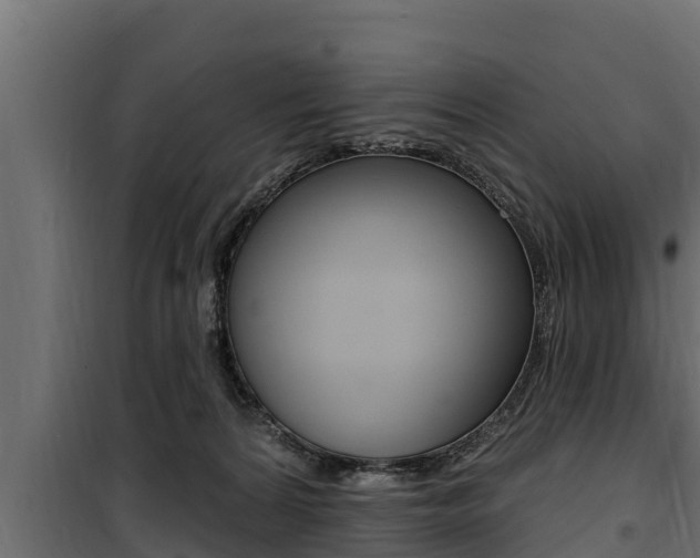 X0000100780224200806191024