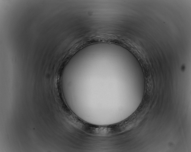 X0000100780225200806191024