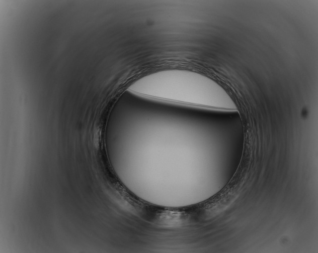 X0000100780227200806191024