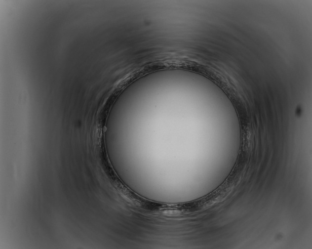 X0000100780228200806191024