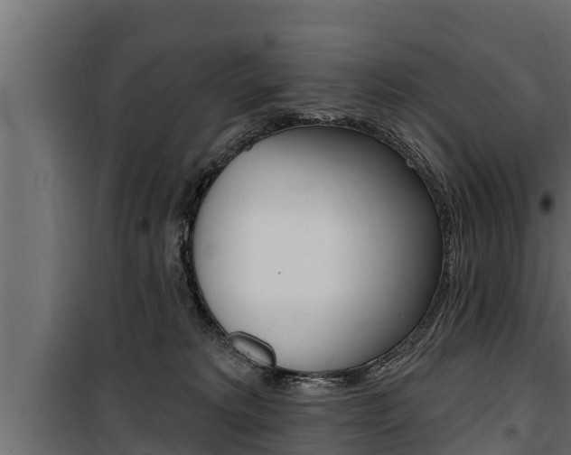 X0000100780229200806191024