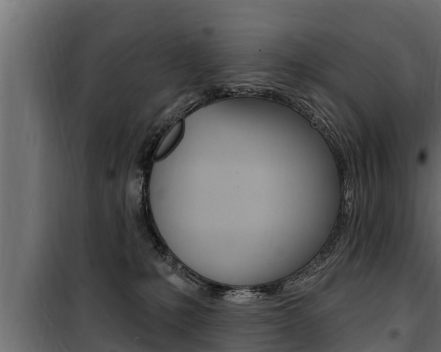 X0000100780231200806191024