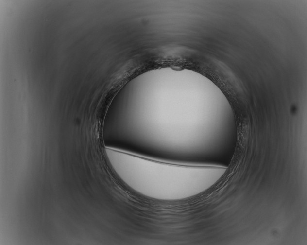 X0000100780232200806191024