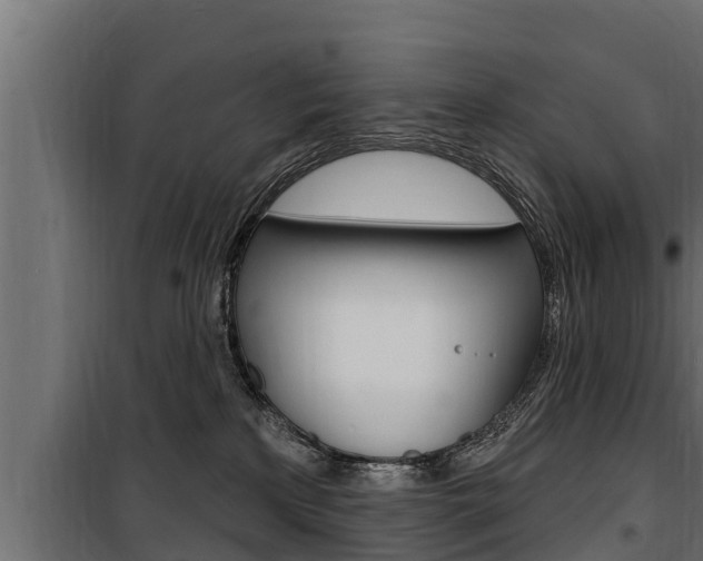 X0000100780233200806191024