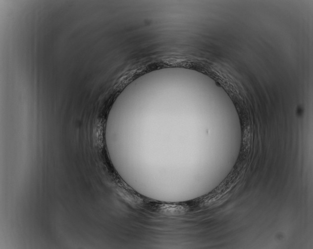 X0000100780234200806191024