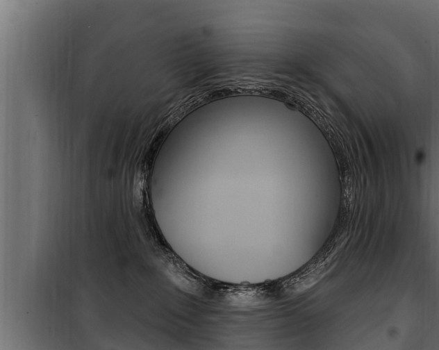 X0000100780235200806191024