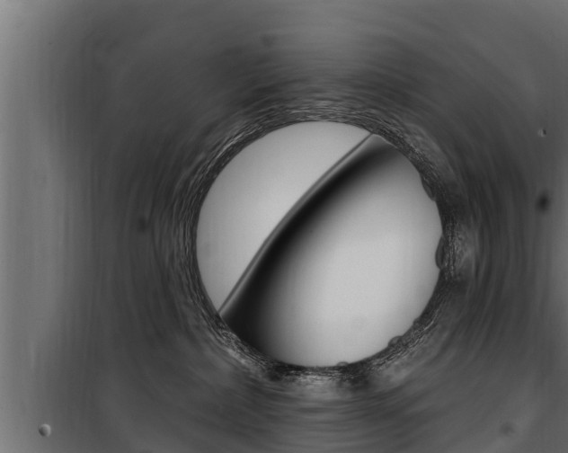 X0000100780236200806191024