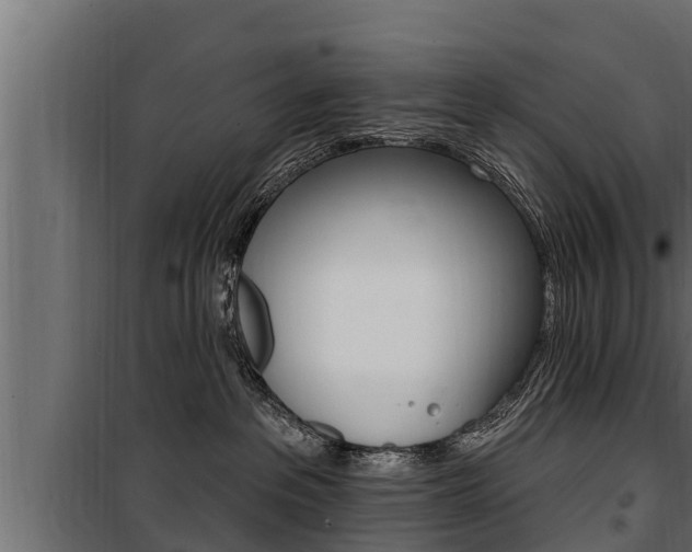 X0000100780237200806191024