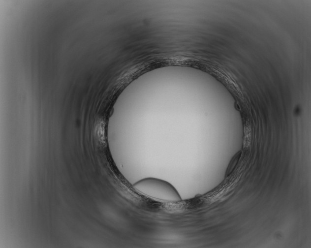 X0000100780238200806191024