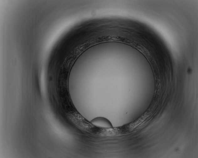 X0000100780239200806191024