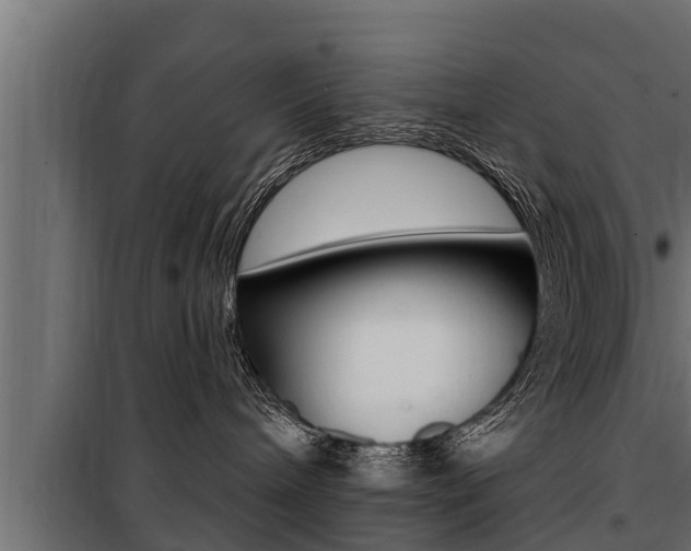 X0000100780240200806191024