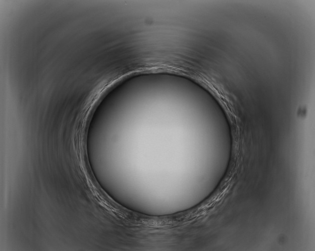 X0000100780241200806191023