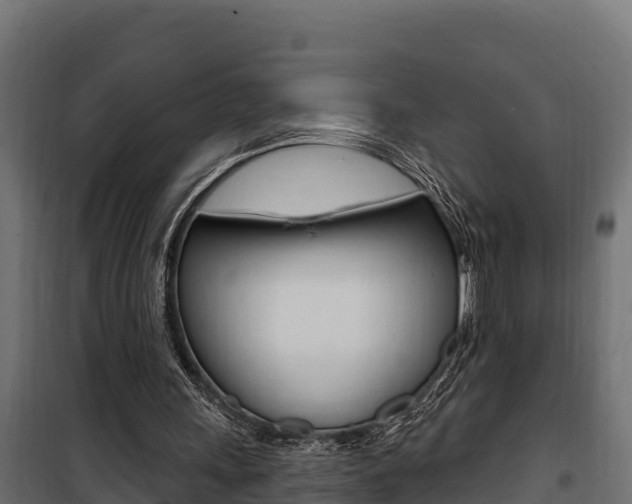 X0000100780243200806191023