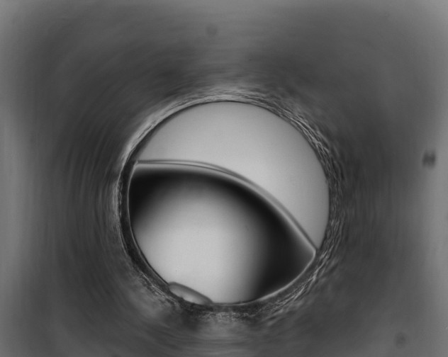 X0000100780244200806191023