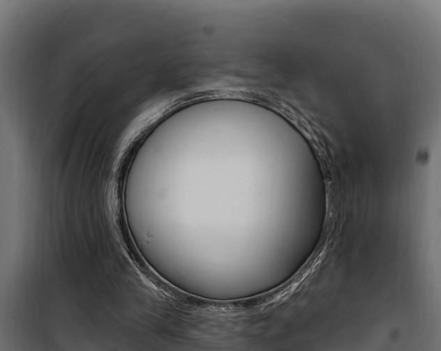 X0000100780245200806191023