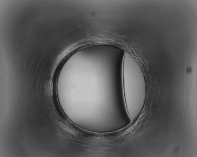 X0000100780246200806191023