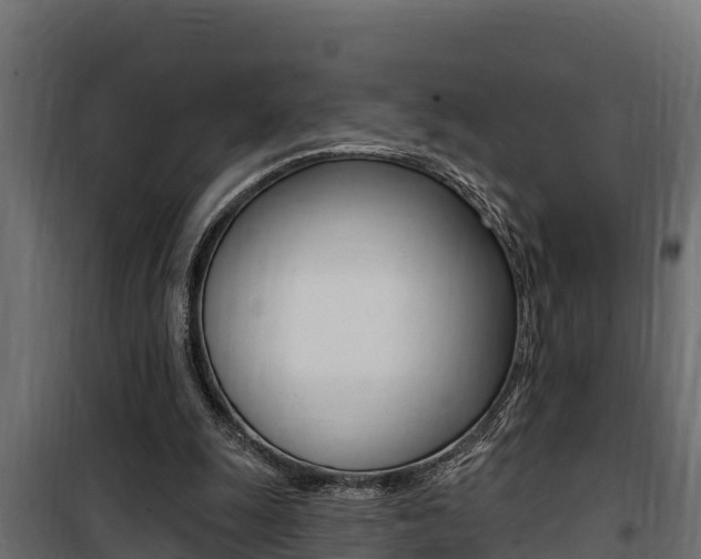 X0000100780247200806191023