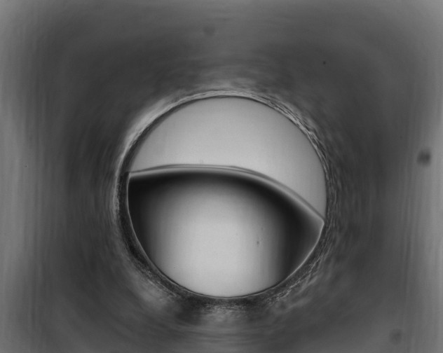 X0000100780248200806191023