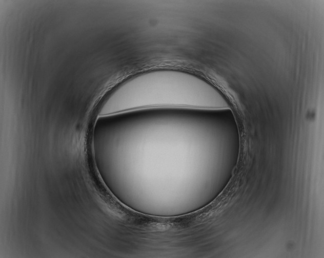 X0000100780250200806191023