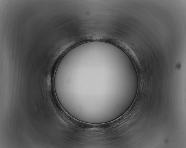 X0000100780251200806191023