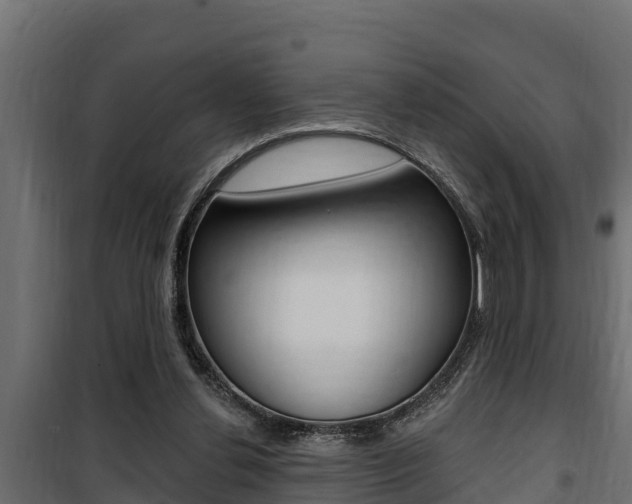 X0000100780252200806191023