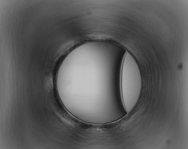 X0000100780254200806191023