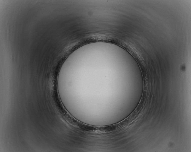 X0000100780255200806191023