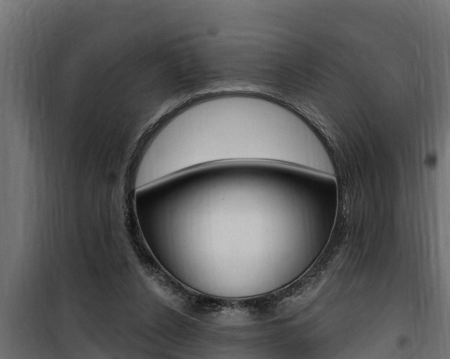 X0000100780256200806191024