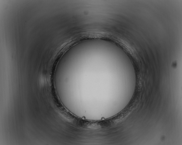 X0000100780258200806191024