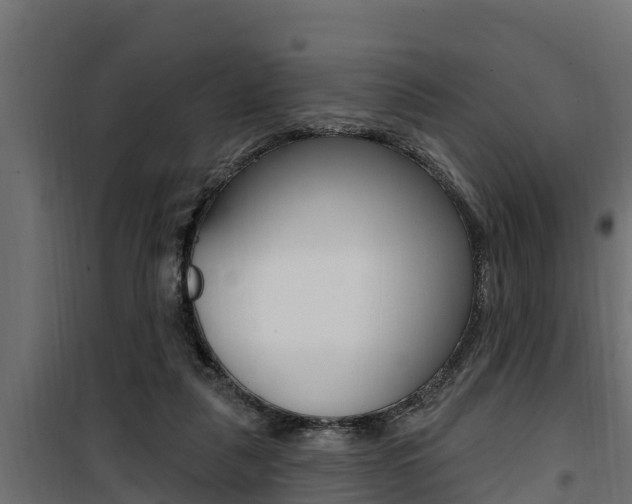 X0000100780259200806191024