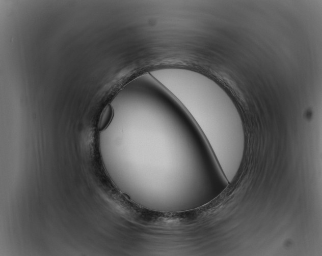 X0000100780260200806191024