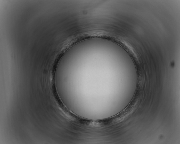 X0000100780261200806191024