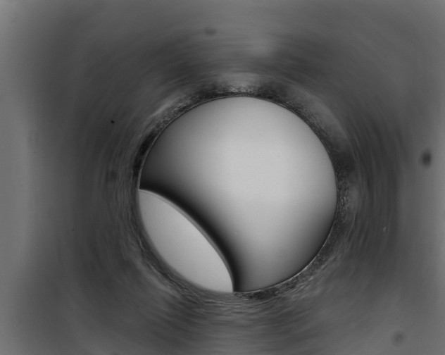 X0000100780262200806191024