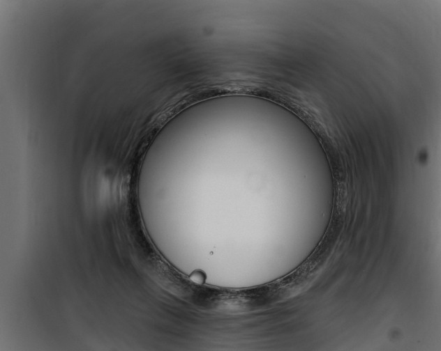 X0000100780263200806191024