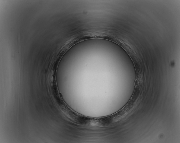 X0000100780264200806191024