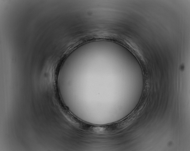 X0000100780265200806191024