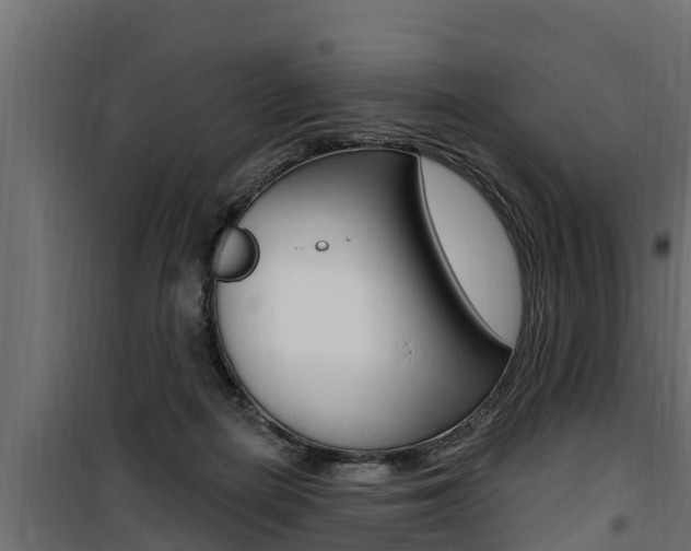 X0000100780266200806191024