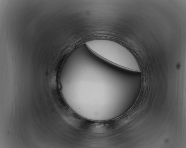 X0000100780267200806191024