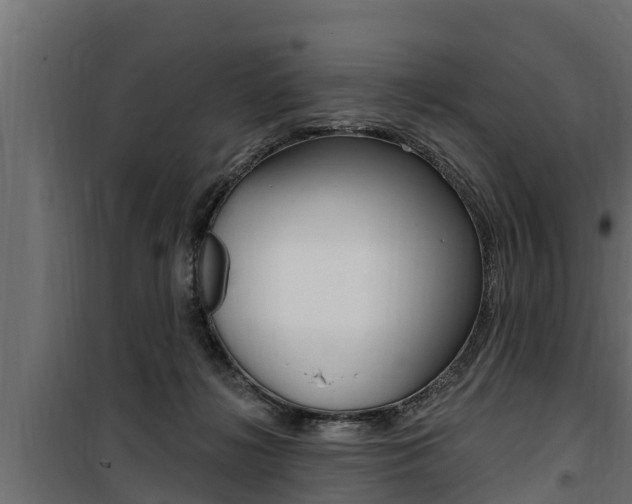 X0000100780268200806191024