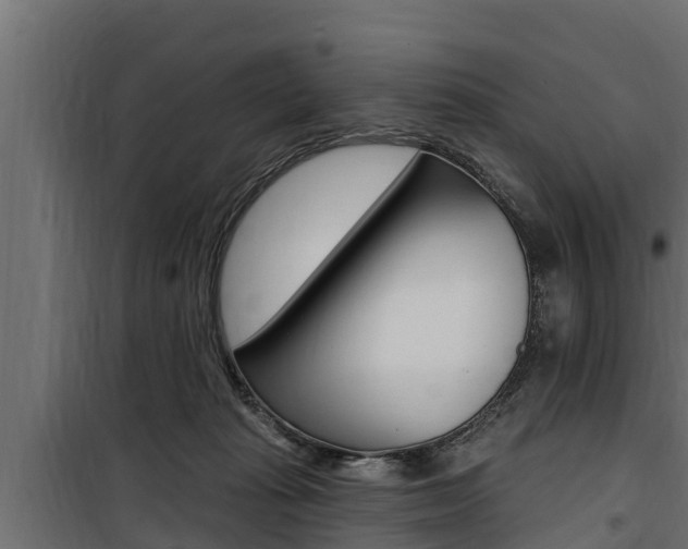 X0000100780269200806191024