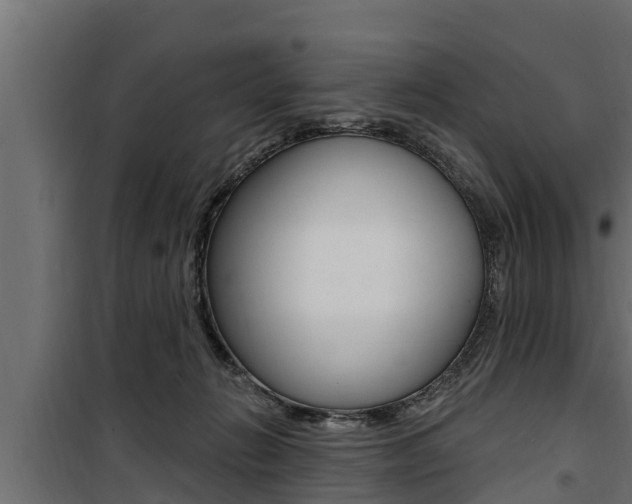 X0000100780270200806191024