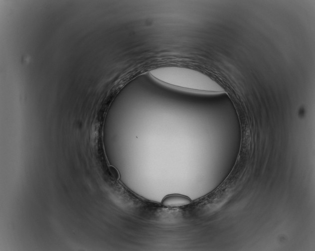 X0000100780271200806191024