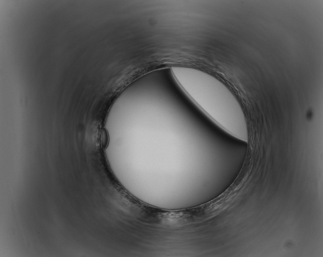 X0000100780273200806191024