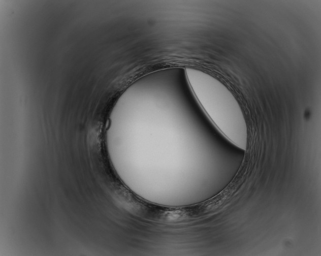 X0000100780275200806191024