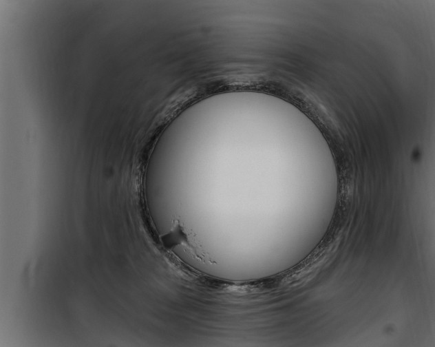 X0000100780277200806191024