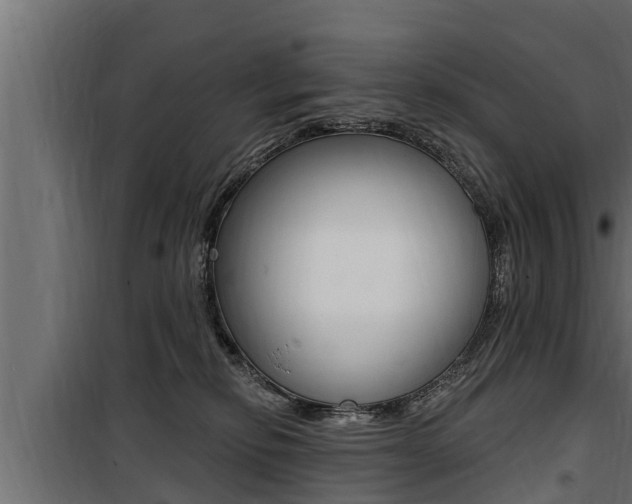 X0000100780278200806191024